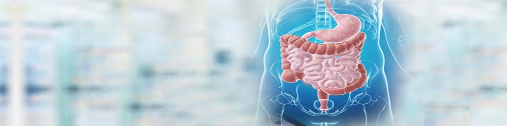 Gastroenterology Treatment Hospital