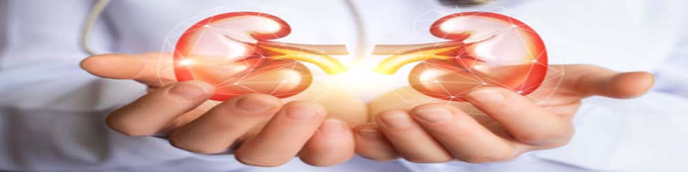 Nephrology Treatment Hospital